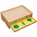 Complete botany leaf cabinet