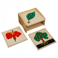 Cabinet complet de 4 puzzles botanique haut de gamme