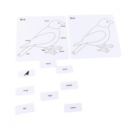 puzzle oiseau puzzle oiseau