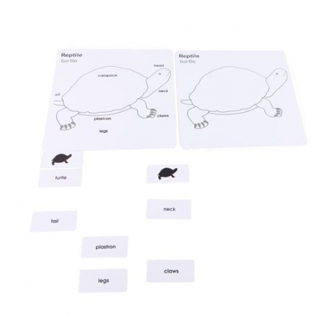 puzzle oiseau puzzle oiseau