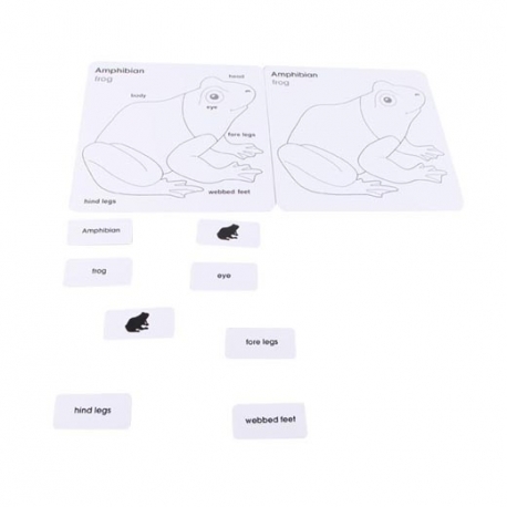 puzzle oiseau puzzle oiseau