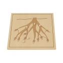 Roots Puzzle