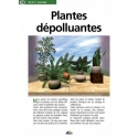 Air-purifying plants