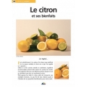 Die Zitrone