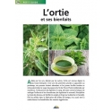 La ortiga