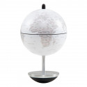 GLOBE SWING