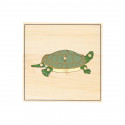 Puzzle tortue squelette