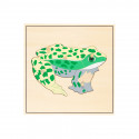 Frog Skeleton Puzzle