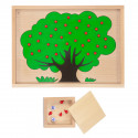 Apfelbaum
