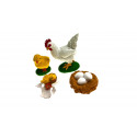 Life cycle of the hen 5-10cm