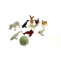 Arctic animals