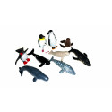 Antarctic animals