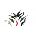 The different sharks