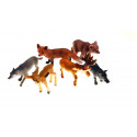 Forest Animals