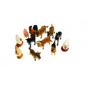 Farm animals