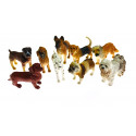 Cani diversi