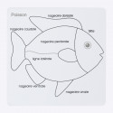 Cartes de contrôle puzzle poisson en français