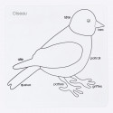 Cartes de contrôle puzzle oiseau en français