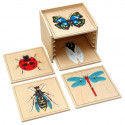 Cabinet de 5 puzzles de zoologie Montessori.