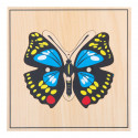 Butterfly puzzle