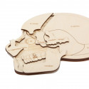 Wooden puzzle: use your head!