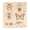 Wooden puzzle: the insects