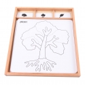 Cards for the botany cabinet in French