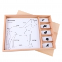 Cards for the zoology cabinet in French