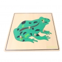 Puzzle rana di alta gamma